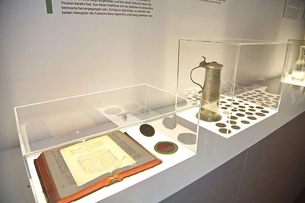 Ausstellungsraum Weinanbau